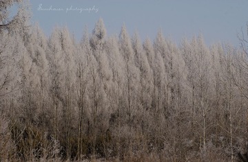 DSC_2680.jpg