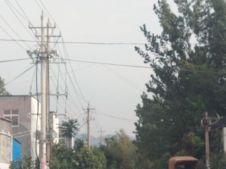 75302