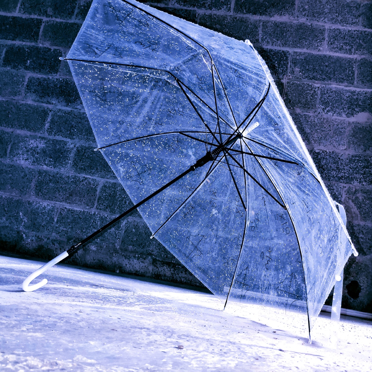 淋过雨的伞在光下起舞