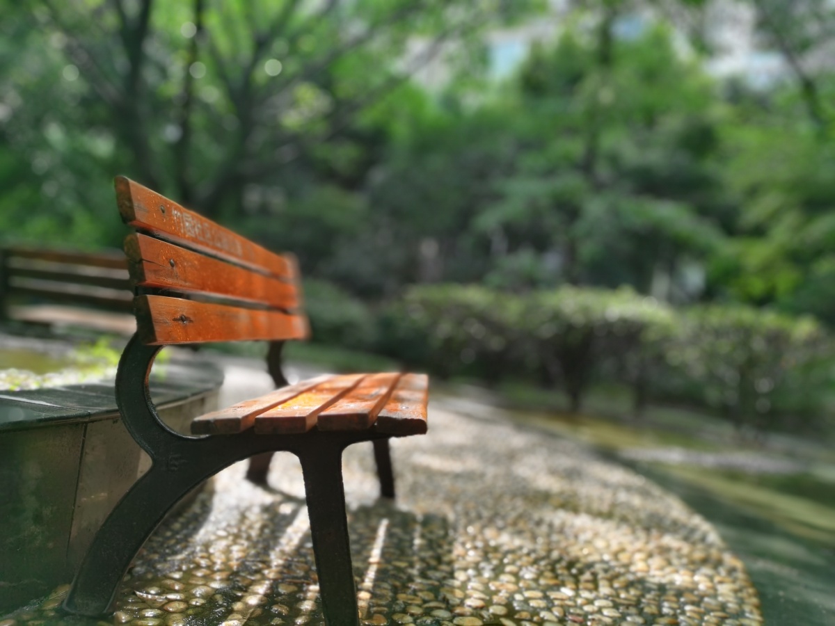 清晨雨过天晴阳光透过树叶落下斑驳的光影公园里的长椅静静的伫立在