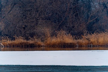 00267BEA-527B-4B64-A55A-FD8A058CEFD4/L0/001