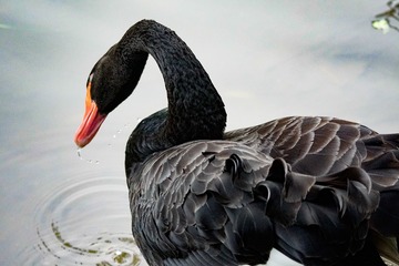 C7E364A1-BF30-4505-9D19-A22E6B40465C/L0/001