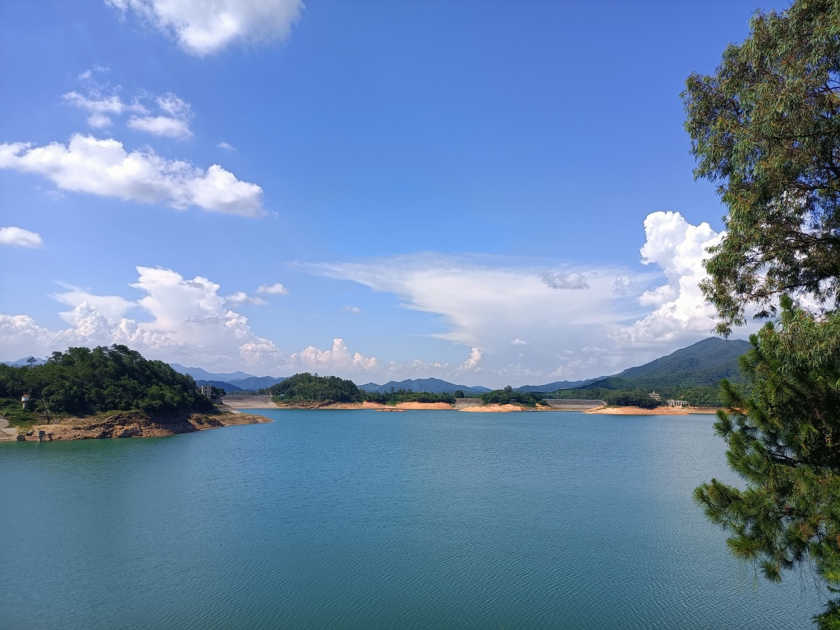 浮想联翩的云朵