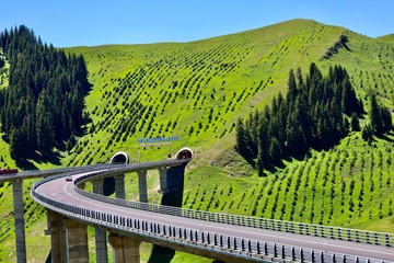 B65349B2-971C-492B-B3D5-8470DB5909C6/L0/001