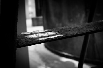 _IGP3219.JPG
