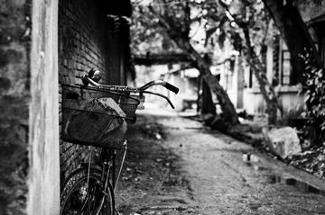 IMGP5463-编辑-3.JPG