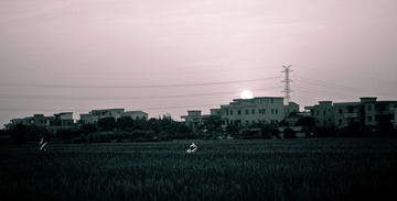IMG_1068.jpg