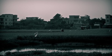 IMG_1006.jpg