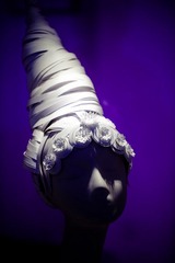 IMG_0240.jpg