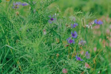 F5C49693-CBFC-4C31-A123-80862B165D85/L0/001