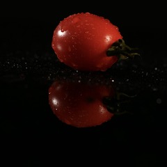 2C34EB6E-83D6-46B8-95BE-D34B684FF104/L0/001