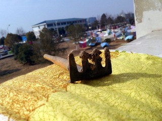 IMG_20120218_100604.jpg