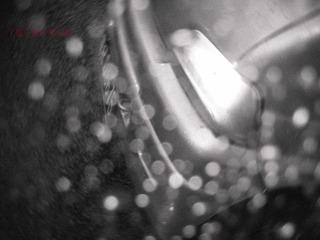DSCN2554.JPG