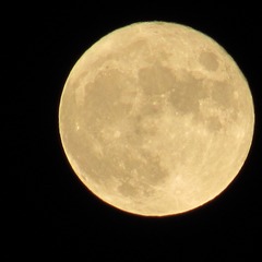 36A6D1BF-BA06-4038-8AB2-EBD72FFECAD5/L0/001