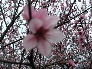 1204020