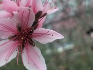 1204026