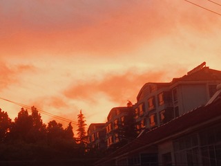 130251