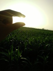 8D93F0B5-1786-4D4B-8675-3E5005B0B594/L0/001