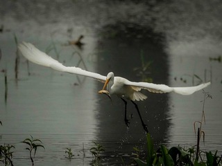 7032C0DD-001F-49D5-8F47-A7FAB69A7A09/L0/001