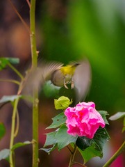 98148006-8CBF-44E5-AEEA-510CF797AFD6/L0/001