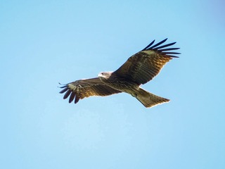 38BF98AF-6FA2-4D8A-806A-03F91BCEAFDB/L0/001