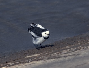 2218670