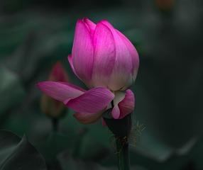 10928