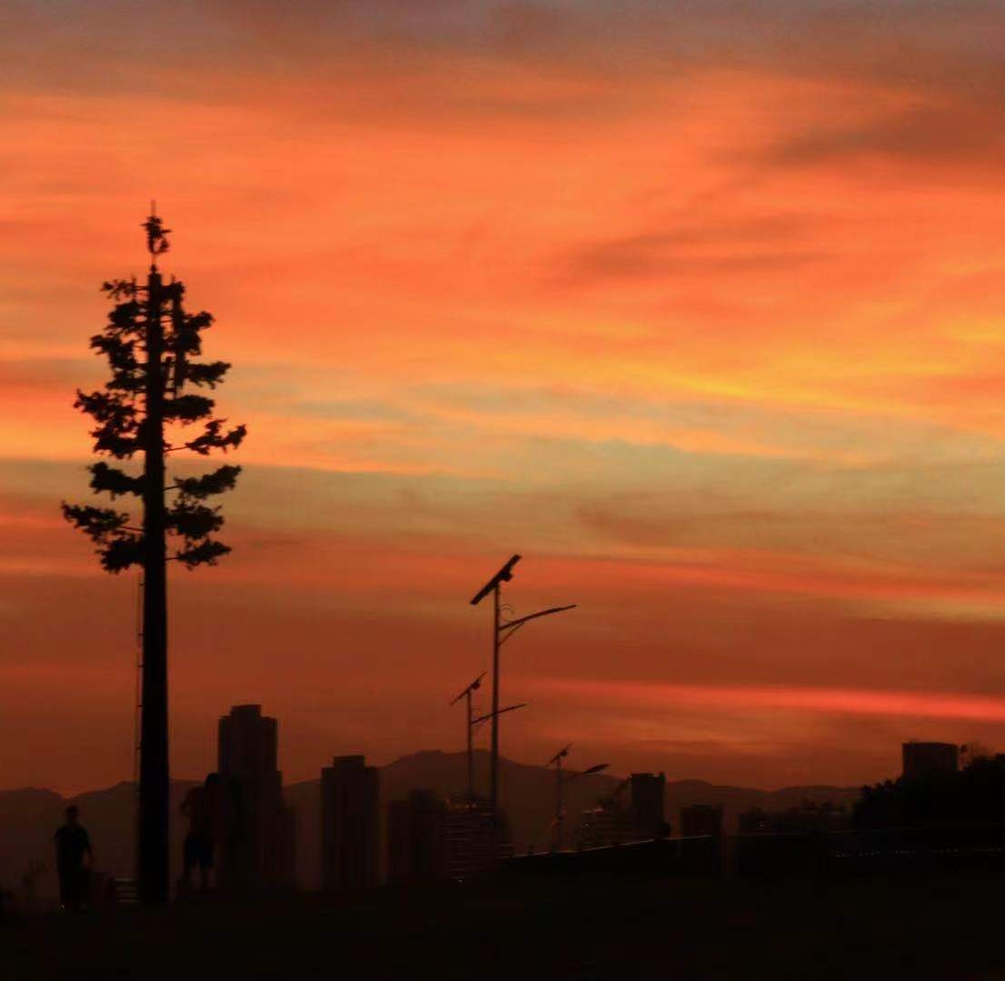 在这个快节奏的社会发现不一样的美