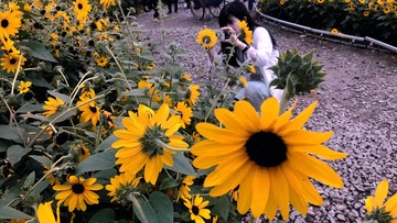D8520E24-628C-4A46-B57E-7232D6B76519/L0/001