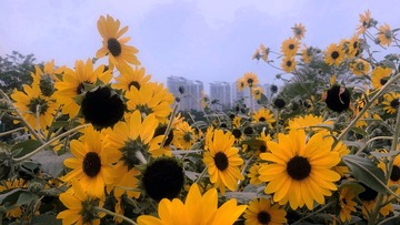62C28D78-6746-4C1F-9EB5-B0FFA9A4767F/L0/001