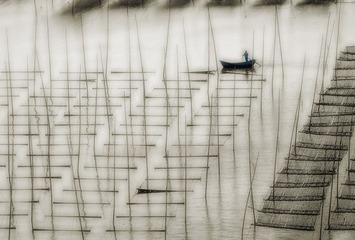 海涂3.jpg