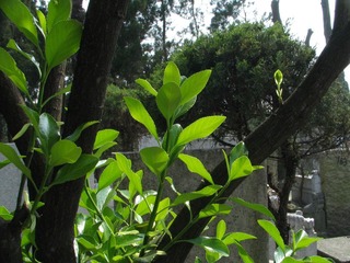 IMG_7432.JPG
