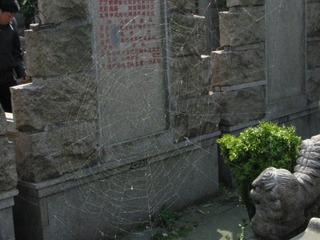 IMG_7434.JPG