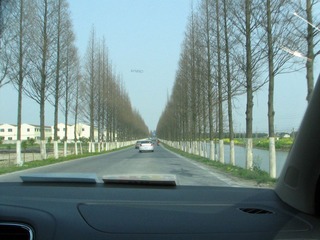 IMG_7435.JPG
