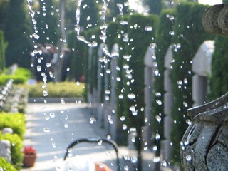 IMG_7489.JPG