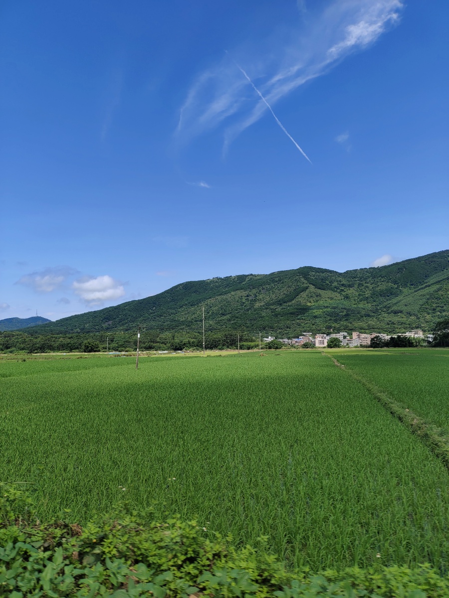 生活不止诗和远方,还有田野和家乡.老家真的是个治愈的好地方!