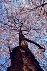 _DSC7663-Edit.jpg