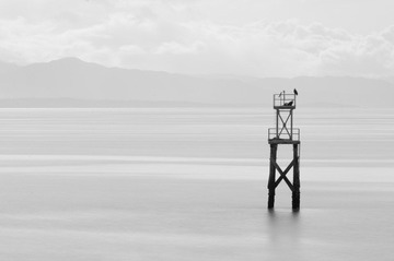 _DSC8291.jpg