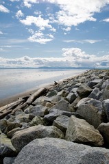 _DSC8248.jpg