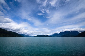 _DSC8381.jpg