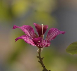 _IGP5742.JPG
