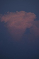 _IGP8276.JPG