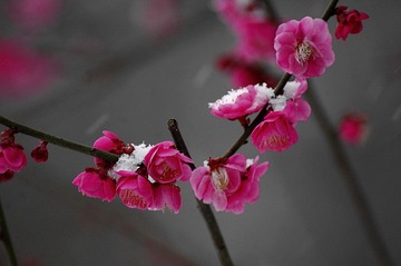 _IGP9805_副本.jpg