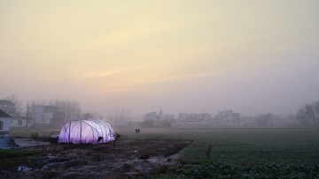 _1070009