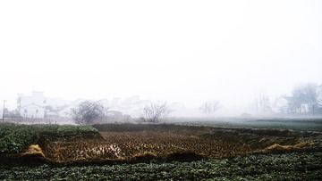_1070001