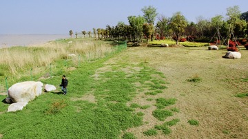 DJI_0007