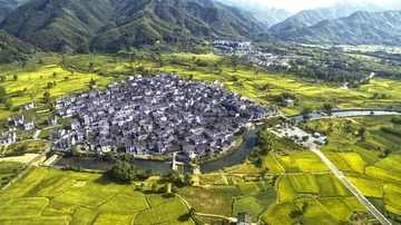 DJI_0010