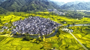 DJI_0010卢村秋色