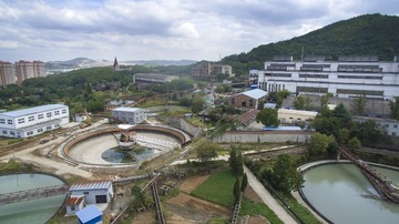 DJI_0115