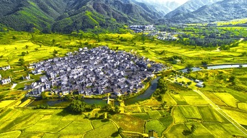 DJI_0010卢村秋色